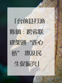 台前县打渔陈镇：跨省联建架通“连心桥” 惠及民生促振兴