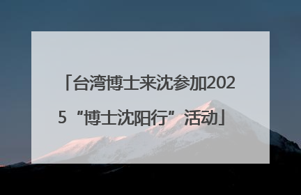 台湾博士来沈参加2025“博士沈阳行”活动