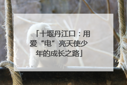 十堰丹江口：用爱“电”亮天使少年的成长之路