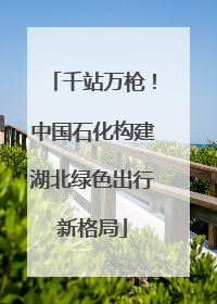 千站万枪！中国石化构建湖北绿色出行新格局