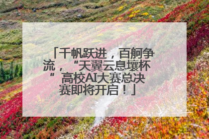 千帆跃进，百舸争流，“天翼云息壤杯”高校AI大赛总决赛即将开启！