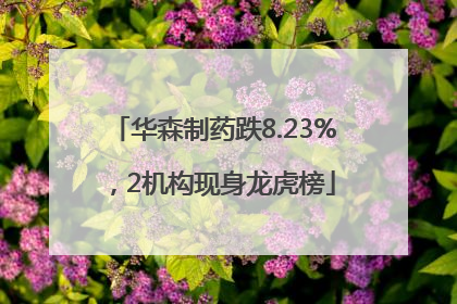 华森制药跌8.23%，2机构现身龙虎榜