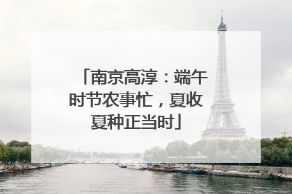 南京高淳：端午时节农事忙，夏收夏种正当时