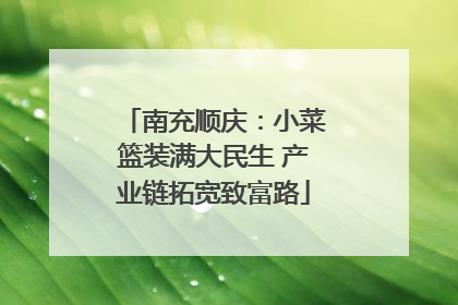 南充顺庆：小菜篮装满大民生 产业链拓宽致富路