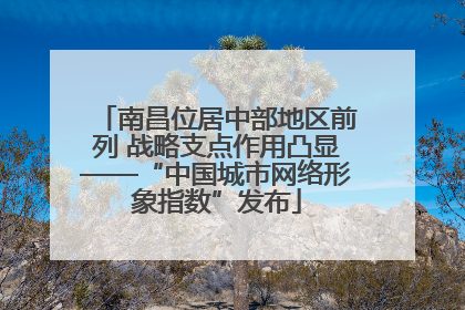 南昌位居中部地区前列 战略支点作用凸显——“中国城市网络形象指数”发布