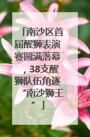 南沙区首届醒狮表演赛圆满落幕，38支醒狮队伍角逐“南沙狮王”