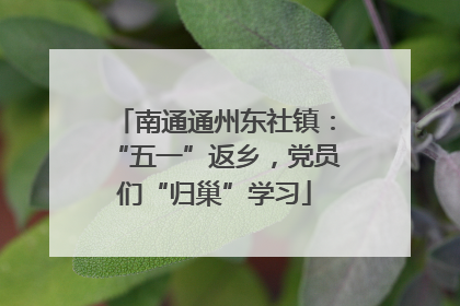 南通通州东社镇：“五一”返乡，党员们“归巢”学习