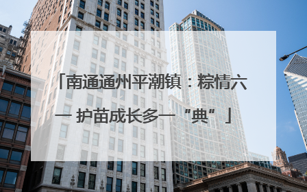 南通通州平潮镇：粽情六一 护苗成长多一“典”