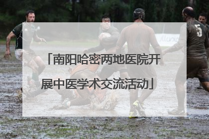 南阳哈密两地医院开展中医学术交流活动