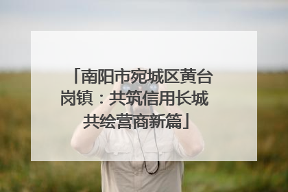 南阳市宛城区黄台岗镇：共筑信用长城 共绘营商新篇