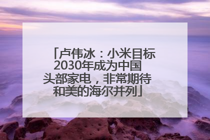 卢伟冰：小米目标2030年成为中国头部家电，非常期待和美的海尔并列