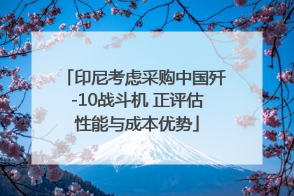 印尼考虑采购中国歼-10战斗机 正评估性能与成本优势
