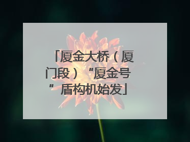 厦金大桥（厦门段）“厦金号”盾构机始发