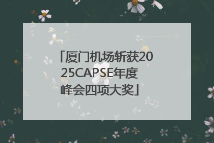厦门机场斩获2025CAPSE年度峰会四项大奖