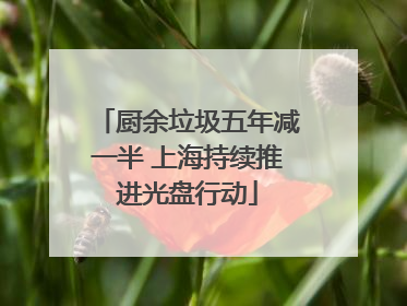 厨余垃圾五年减一半 上海持续推进光盘行动
