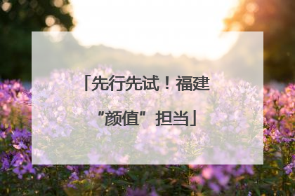 先行先试！福建“颜值”担当