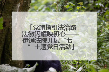 党旗指引法治路 法徽闪耀映初心——伊通法院开展“七一”主题党日活动