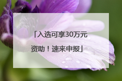 入选可享30万元资助！速来申报