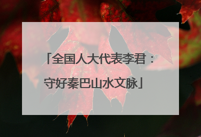 全国人大代表李君：守好秦巴山水文脉
