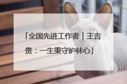全国先进工作者｜王吉贵：一生秉守护林心