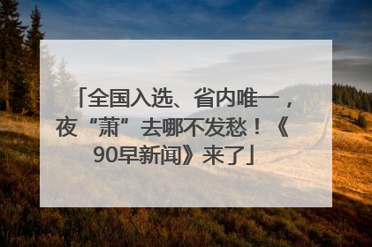全国入选、省内唯一，夜“萧”去哪不发愁！《90早新闻》来了