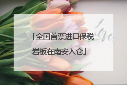 全国首票进口保税岩板在南安入仓
