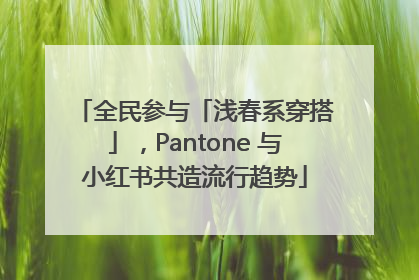 全民参与「浅春系穿搭」，Pantone 与小红书共造流行趋势