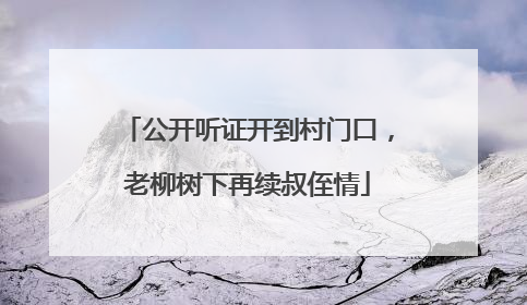 公开听证开到村门口，老柳树下再续叔侄情