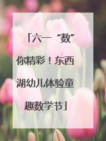 六一“数”你精彩！东西湖幼儿体验童趣数学节