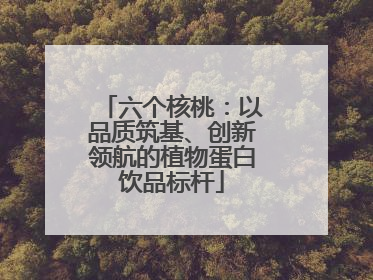 六个核桃：以品质筑基、创新领航的植物蛋白饮品标杆