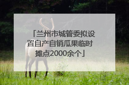 兰州市城管委拟设置自产自销瓜果临时摊点2000余个