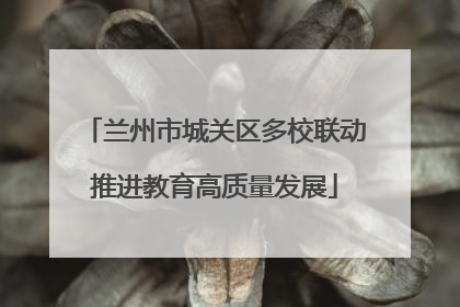 兰州市城关区多校联动推进教育高质量发展