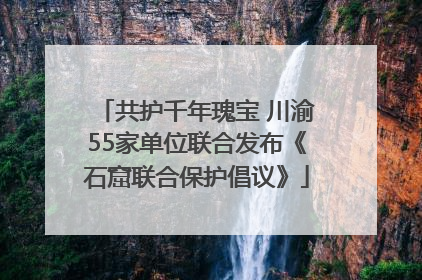共护千年瑰宝 川渝55家单位联合发布《石窟联合保护倡议》