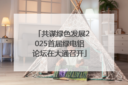 共谋绿色发展2025首届绿电铝论坛在大通召开