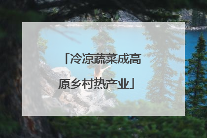冷凉蔬菜成高原乡村热产业