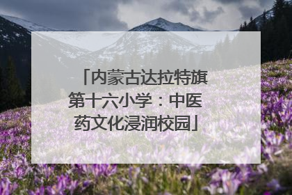 内蒙古达拉特旗第十六小学：中医药文化浸润校园