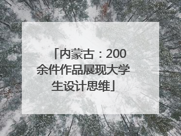 内蒙古：200余件作品展现大学生设计思维