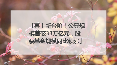 再上新台阶！公募规模首破33万亿元，股票基金规模同比领涨