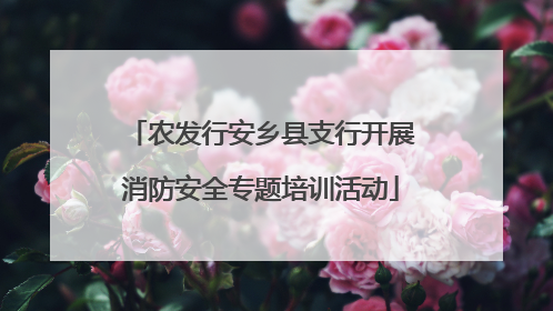 农发行安乡县支行开展消防安全专题培训活动