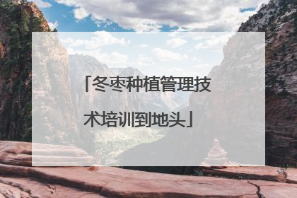 冬枣种植管理技术培训到地头