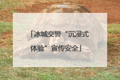 冰城交警“沉浸式体验”宣传安全