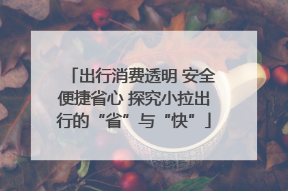 出行消费透明 安全便捷省心 探究小拉出行的“省”与“快”