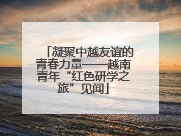 凝聚中越友谊的青春力量——越南青年“红色研学之旅”见闻