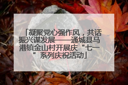 凝聚党心强作风，共话振兴谋发展——通城县马港镇金山村开展庆“七一”系列庆祝活动
