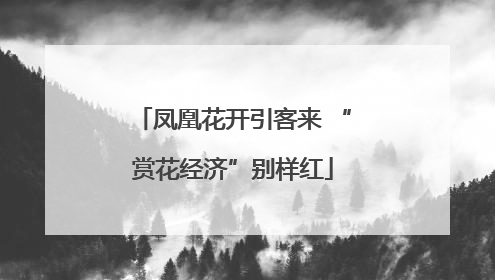 凤凰花开引客来 “赏花经济”别样红