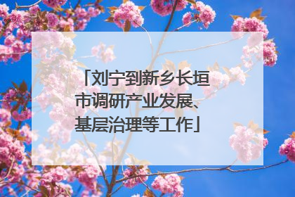 刘宁到新乡长垣市调研产业发展、基层治理等工作