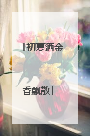 初夏洒金香飘散