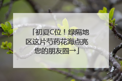 初夏C位！绿隔地区这片芍药花海点亮您的朋友圈→