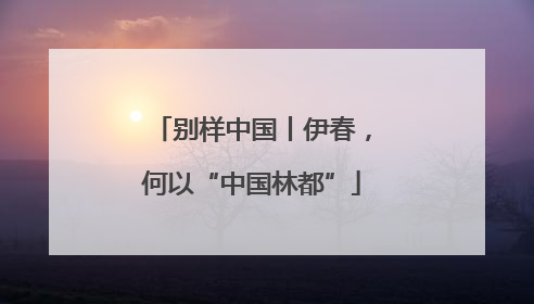 别样中国丨伊春，何以“中国林都”