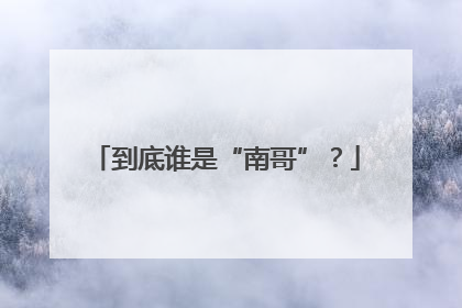 到底谁是“南哥”？